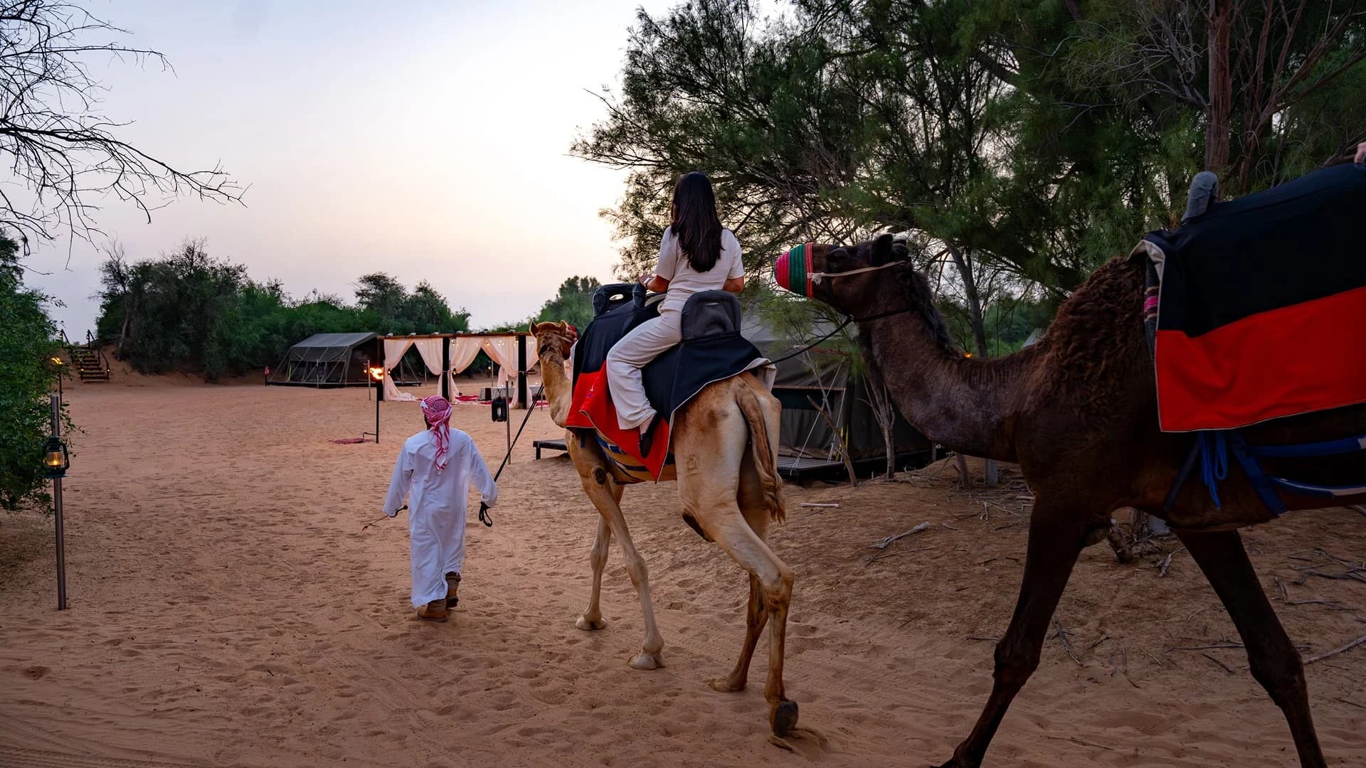 Overnight Desert Safari - Image 3