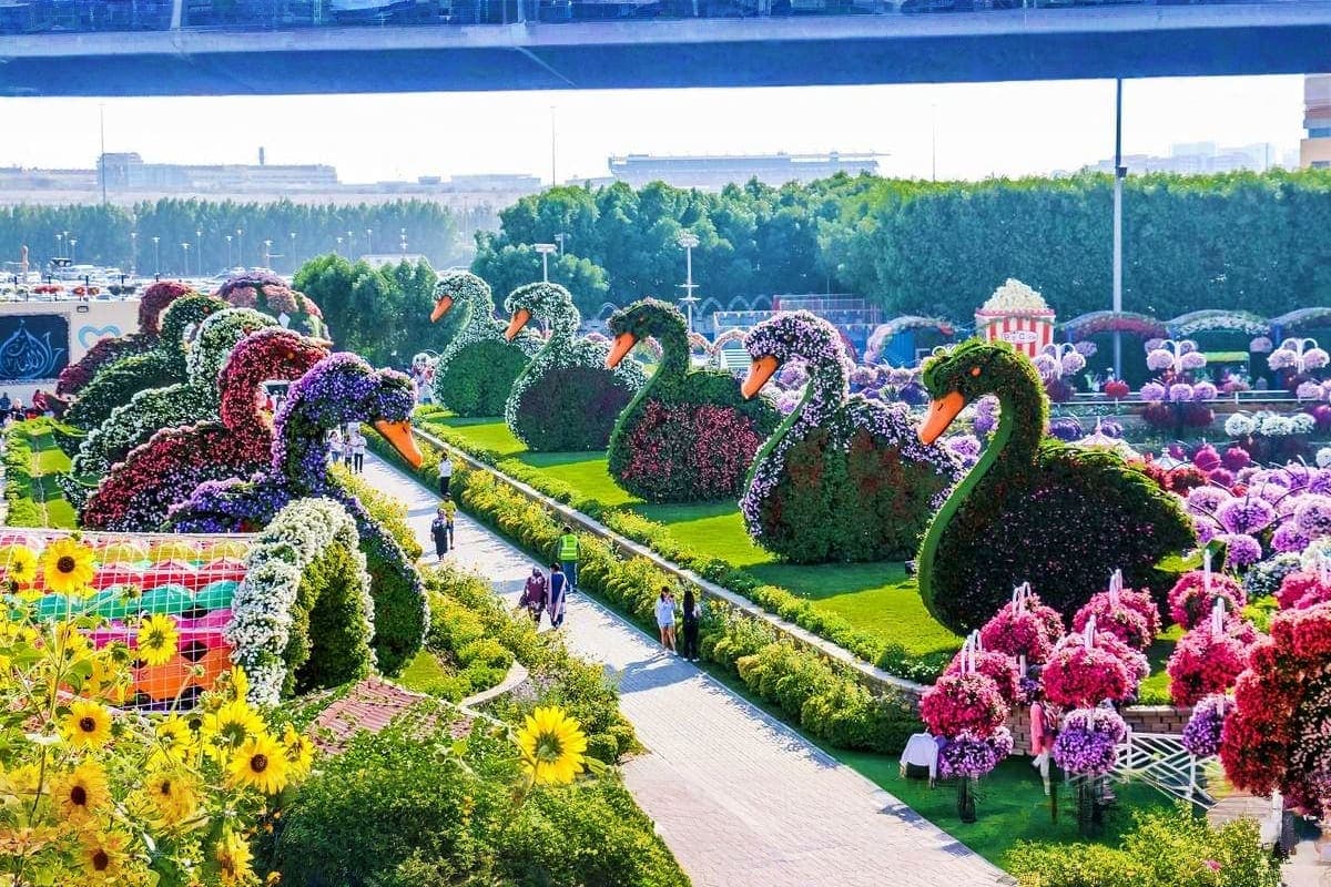 Miracle Garden Dubai