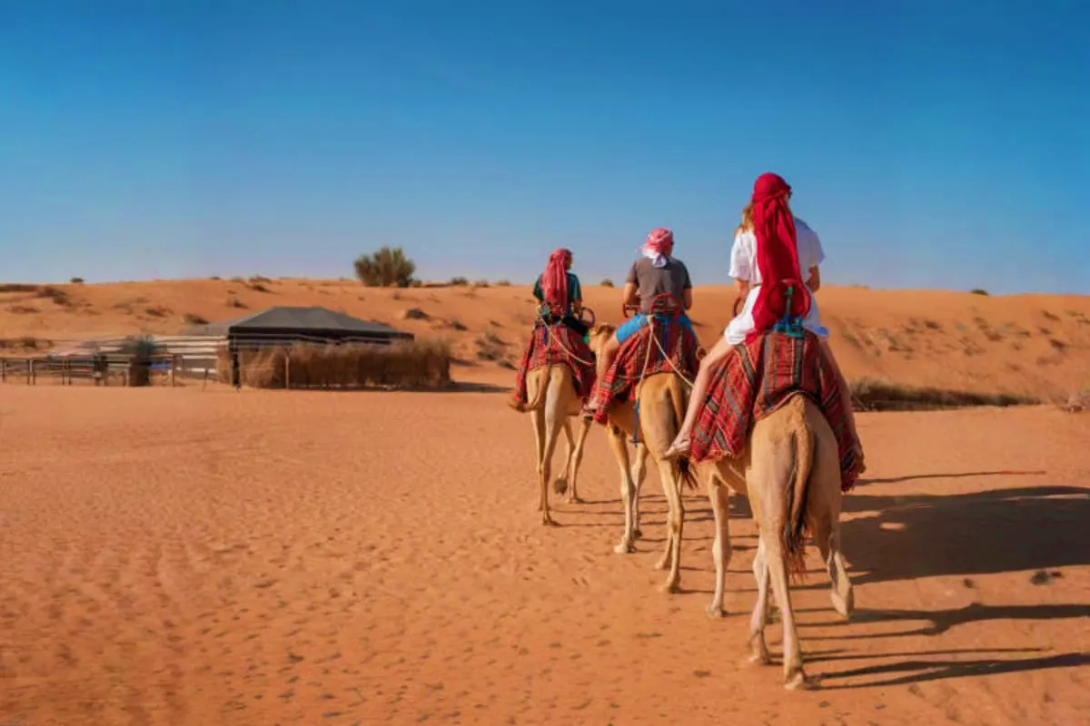 Camel Riding - Image 2