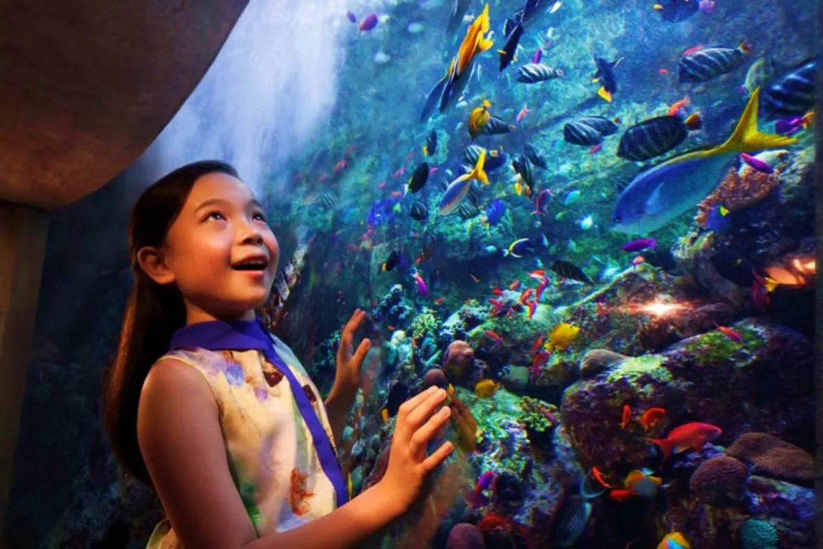 Atlantis Aquaventure Waterpark